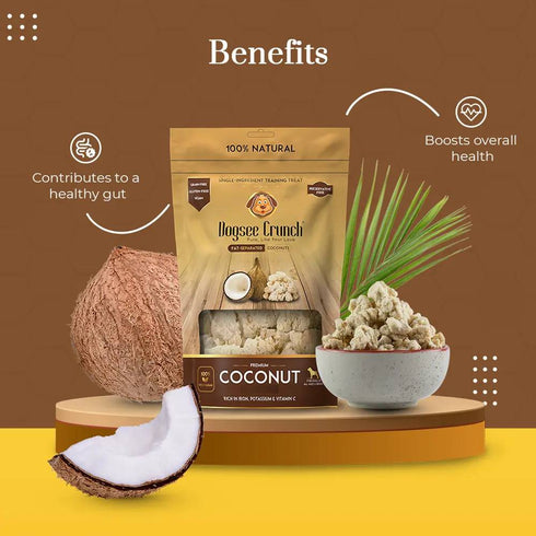 Dogsee Crunch Freeze Dried Coconut Dog Treats